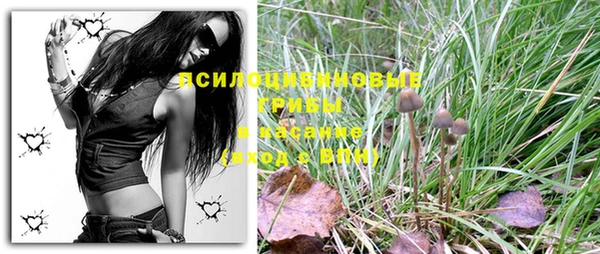 гашиш Наволоки