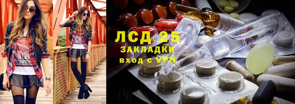 СК Михайловск