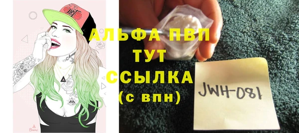 СК Михайловск